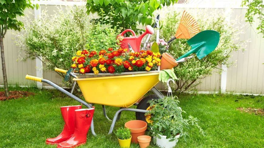 cleaning garden